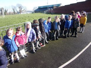 Today Primary 1 LM  took part in the RSPB Big Schools Bird Watch 